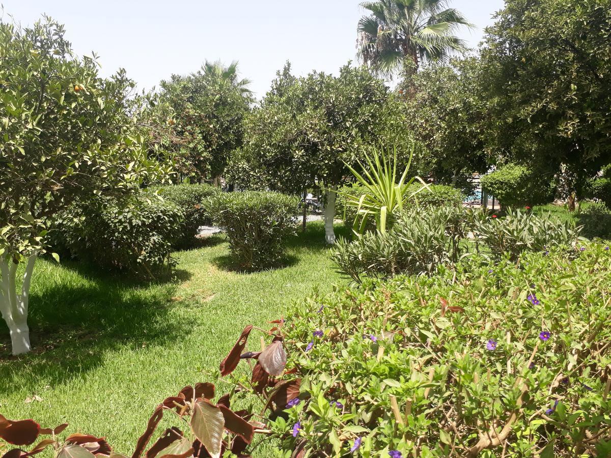 Almounia Hotel & Spa 塔鲁丹特 外观 照片