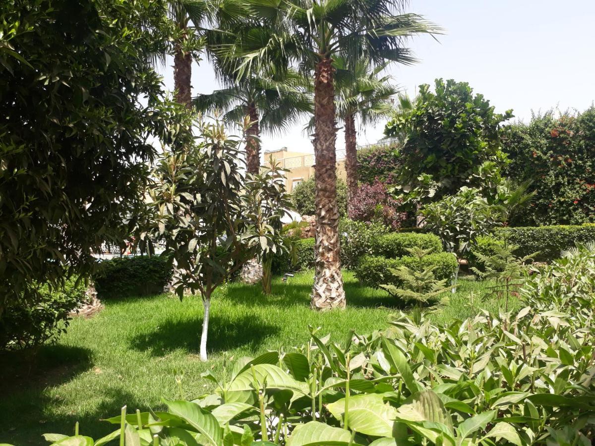 Almounia Hotel & Spa 塔鲁丹特 外观 照片